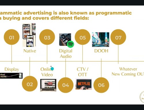 What are programmatic targeting capabilities